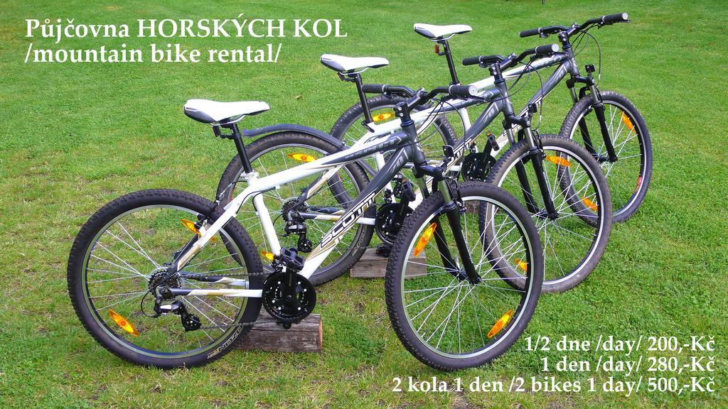 Penzion Fousek Звіковське Подграді Екстер'єр фото
